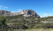 Trail Walking Eygalières - Petit et Gros Calan - Photo 4