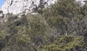 Excursión Senderismo Le Revest-les-Eaux - Mont  Caume - Photo 1