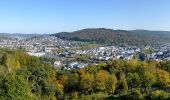 Tour Zu Fuß Herborn - Hessentagswanderweg - Photo 8