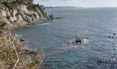 Tocht Stappen Hyères - Giens boucle ouest - Photo 13