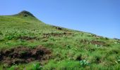 Tour Wandern Laveissière - Cantal - le Lioran - Bec de l Aigle - 10.8km 540m 4h55 - 2019 06 26 - Photo 6