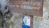 Tour Wandern Levens - Ste Claire Ste Claire  - Photo 8