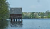 Randonnée A pied Plothen - Naturlehrpfad Dreba-Plothen Erweiterung - Photo 8