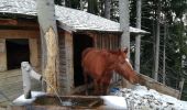 Tour Schneeschuhwandern Thônes - BEAUREGARD depuis la Clossette - Photo 1