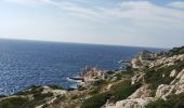 Tour Wandern Marseille - île de Frioul  - Photo 8