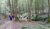 Trail Walking Château-Thierry - Château - Verdilly du 29-08-2021 - Photo 1