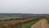 Excursión Senderismo Nogent-l'Artaud - RP51-06 Château-Thierry à Nogent-l'Artaud - Photo 10