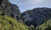 Trail Walking Moustiers-Sainte-Marie - la bergerie de marignol.  - Photo 1