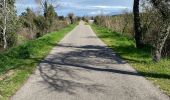 Trail Road bike Velleron - Bellet on - Photo 3