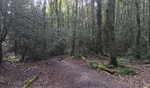 Trail Walking Genk - kettevennen genk - Photo 1
