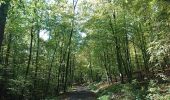 Tour Zu Fuß Zeil am Main - Lauftour ZEI2 - Photo 1