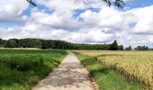 Trail Walking Chaumont-Gistoux - Sur les traces de la préhistoire  - Photo 16