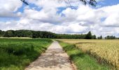 Randonnée Marche Chaumont-Gistoux - Sur les traces de la préhistoire  - Photo 16