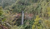 Tocht Te voet Unknown - Tupapakurua Falls Track - Photo 10