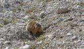 Percorso A piedi Santa Cristina Valgardena - Via Ferrata Sas Rigais - Photo 7