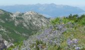 Tocht Te voet Cangas de Onís - Wikiloc Lagos de Cavadonga - Photo 20