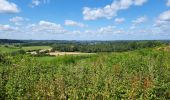 Randonnée Marche Meix-devant-Virton - Gerouville 060723 - Photo 10