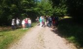 Trail Walking Renauvoid - marche - Photo 14