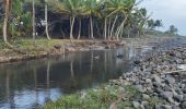 Excursión Senderismo Le Lorrain - La Crabiere Anse rivière Rouge - Photo 5