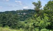 Tocht Noords wandelen Massegros Causses Gorges - Point sublime et tour du Causse de Sauveterre - Photo 5