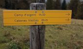 Tocht Stappen Moulinet - Bois Noir au départ de Cabanes Vieilles - Photo 2