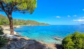 Tour Wandern Saint-Florent - De la plage de l'Ospédale  à la plage de Lotu Saint Florent Haute Corse - Photo 11