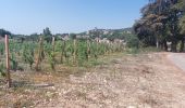 Percorso Mountainbike Mormoiron - Chemin des Vendanges - Photo 1