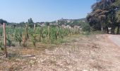 Excursión Bici de montaña Mormoiron - Chemin des Vendanges - Photo 1