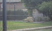 Tocht Stappen Montmain - 20220915-Montmain  - Photo 14