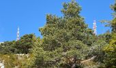 Trail Walking La Bastide - Le Lachens 2024 - Photo 9