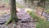 Tour Wandern Jalhay - pont de belle heid la vallée de la hoegne - Photo 8