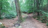 Tour Wandern Spa - Spa berisienne  - Photo 2