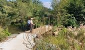 Tocht Stappen Chantonnay - Chantonnay - La Jaudonniere - Photo 1