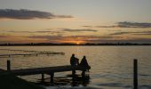 Tocht Te voet Stichtse Vecht - Bethuneroute - Photo 4