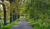 Percorso A piedi Oldenzaal - Wandelnetwerk Twente - paarse route - Photo 5