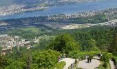 Percorso A piedi Stallikon - Uitikon Waldegg Station - Uetliberg Kulm - Photo 2