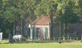 Tour Zu Fuß Geldrop-Mierlo - Strabrechtse Heide - Photo 5