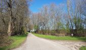 Tour Zu Fuß Falkenburg an der Göhl - Rode paaltjes - Photo 4