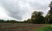 Tour Zu Fuß Rheden - Heuven Beekhuizen Veluwezoom - Photo 5