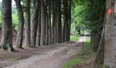 Tour Zu Fuß Berg en Dal - Kraaiendalroute - Photo 5