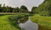 Randonnée A pied Borne - WNW Twente - Loolee - groene route - Photo 3