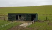 Tour Zu Fuß Beekdaelen - Zevenmijlslaarzenroute - Photo 10