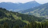 Percorso A piedi Alpthal - Oberdorf - Teuffeli - Photo 6