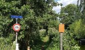 Randonnée A pied Bodegraven-Reeuwijk - Bruinegoudroute - Photo 9