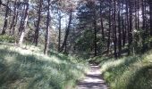 Trail On foot Bergen (NH) - De Vlakken - Photo 3