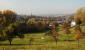 Tour Zu Fuß Vaals - Vaals SBB38 - Photo 3