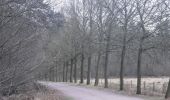 Trail On foot Breda - SBB Rondwandeling (geel) - Photo 4
