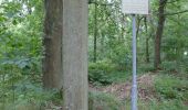 Trail On foot Cranendonck - Achel - Photo 9