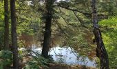 Tour Zu Fuß De Bilt - Rondom Berg en Bosch - Photo 6