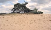 Percorso A piedi Ede - Welkom op het Wekeromse Zand! - Photo 4